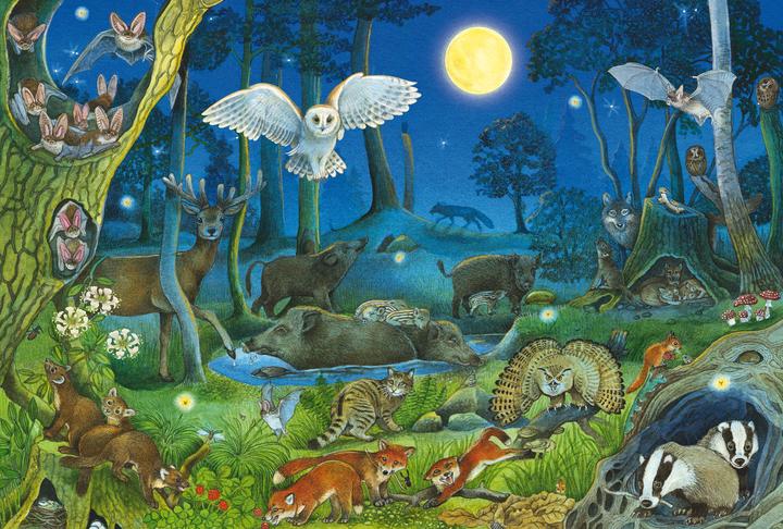 Immagine prodotto Schmidt Spiele Tiere nachts im Wald 100 Teile (100 pezzi)