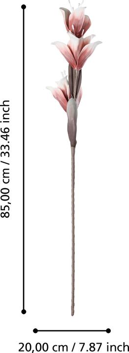 Immagine prodotto EGLO LIVING Molave (85 cm)