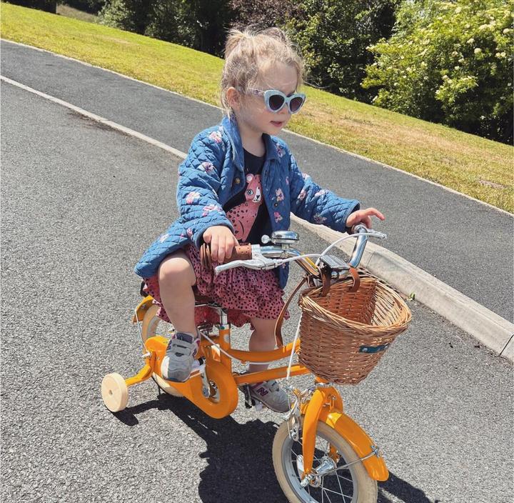 Image du produit Bobbin Vélo Gingersnap (12")