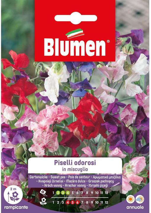 Immagine prodotto Blumen Miscela di semi di veccia da giardino