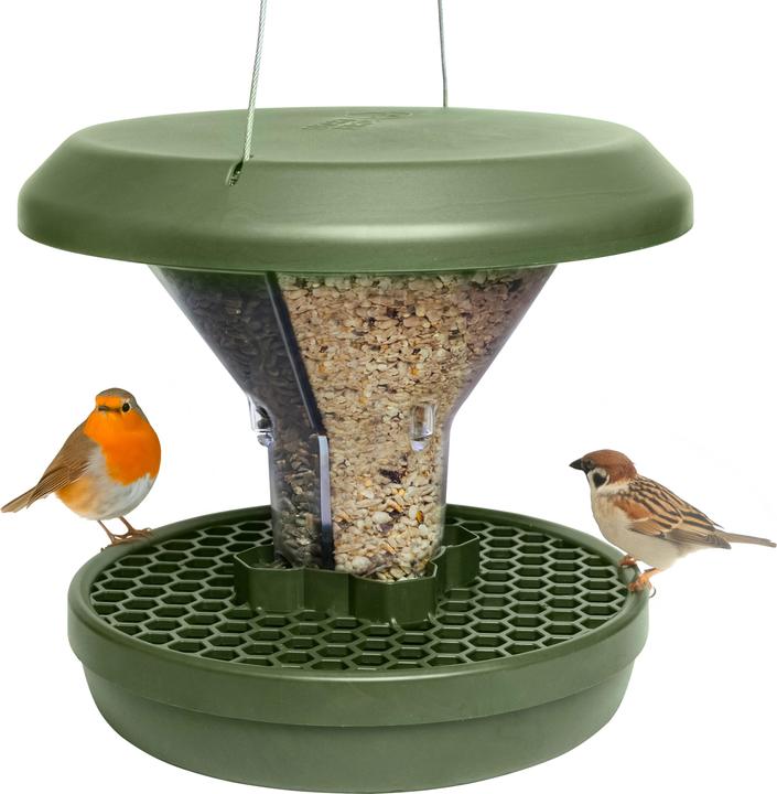 Image du produit Swissinno Vogel-Futtersilo "Davos" SMART BIRDS. Grün
