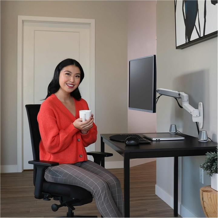 Immagine prodotto Ergotron LX Wall Monitor Arm (Muro, 34.02")