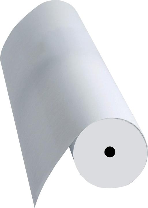 Actual product image Franken Flipchart paper roll, blank, 600 mm x 35 m white, chlorine-free bleached, 80 g/sqm, universal