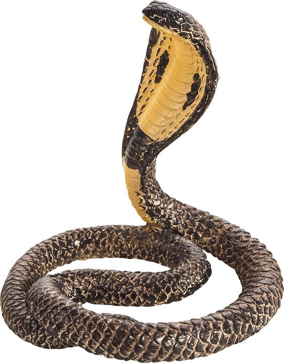 Immagine prodotto Animal Planet Cobra