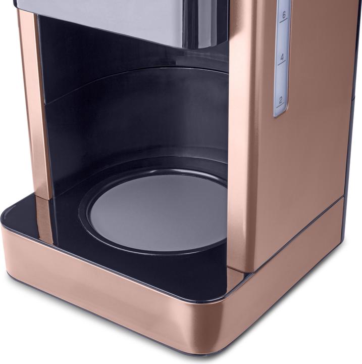Image du produit Fakir Aroma Grande or rose