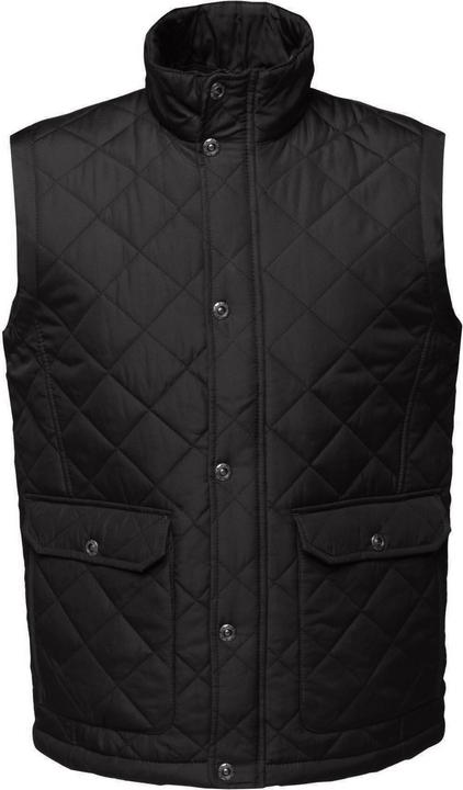 Image du produit Regatta - Veste sans manches TYLER - Homme (XL)