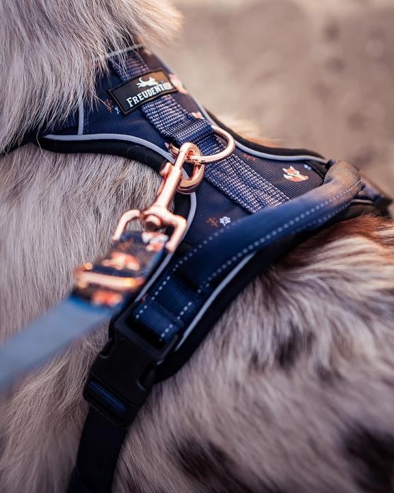 Actual product image Freudentier Breathable dog harness (L, Dog, General)