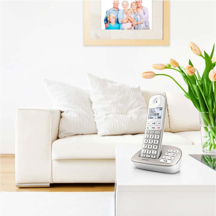 Produktbild Philips Xl4951s/38