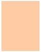 Actual product image Estée Lauder Double Wear Stay-In-Place Makeup (1W1 Bone)