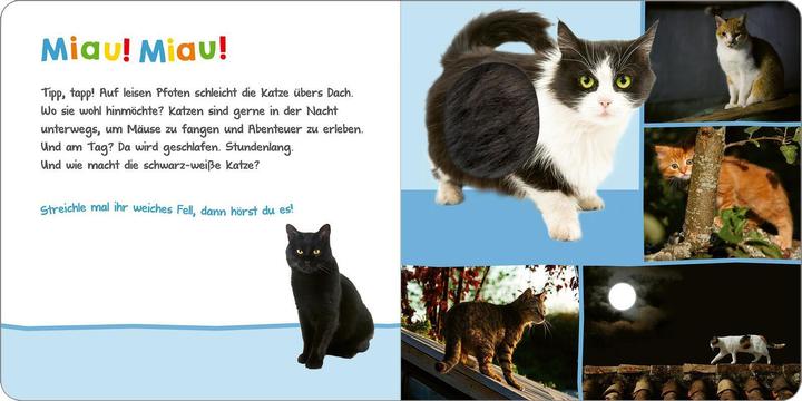 Image du produit Hör mal rein, wer kann das sein? - Tiere in der Nacht (Allemand)