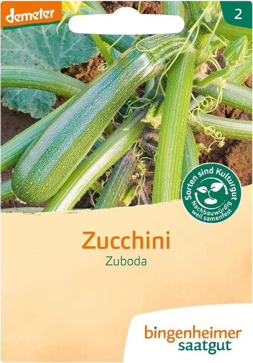 Bingenheimer Saatgut Courgette Zuboda