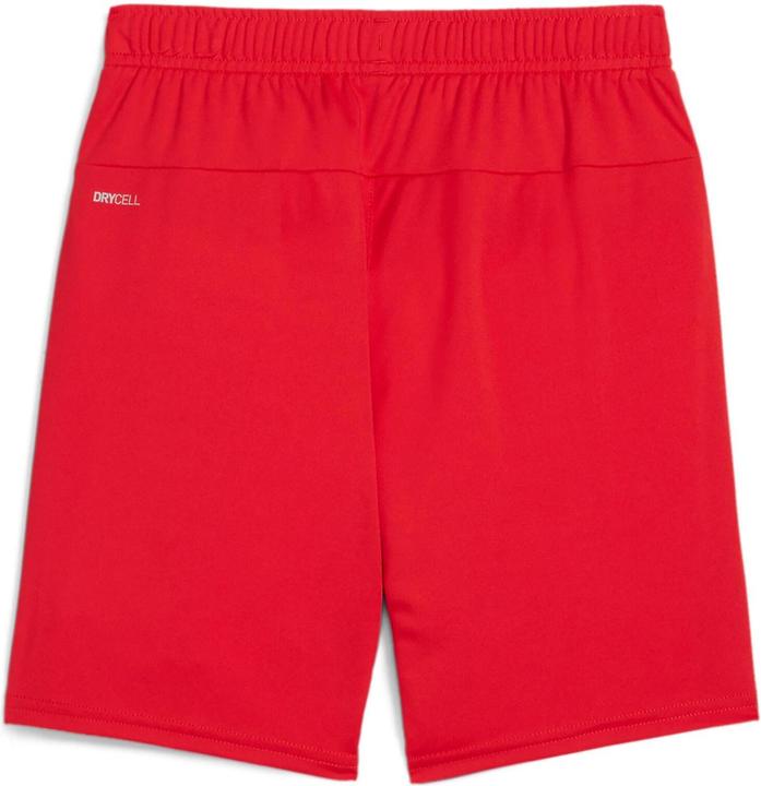 Produktbild Puma teamGOAL Shorts Jr (L)