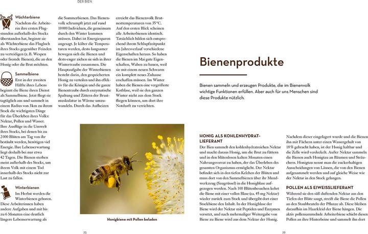 Actual product image Kosmos Bienen halten mit der BienenBox (German, John Weber, 2024)