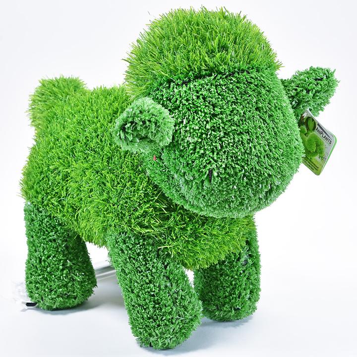 Productafbeelding Kögler AniPlants, beeldje d'herbe, debout " (1 x)