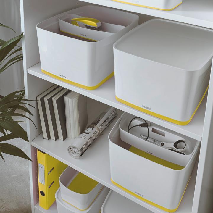 Immagine prodotto Leitz Contenitore MyBox (31,8 x 19,8 x 38,5 cm, 18 l)