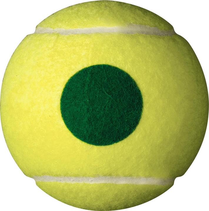 Actual product image Wilson Starter Play