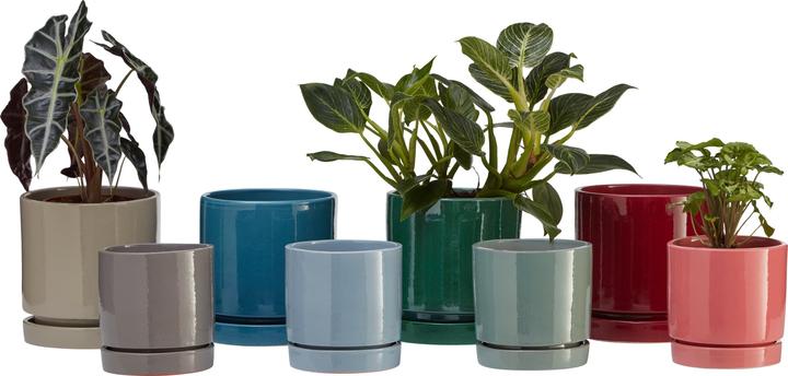 Actual product image micasa Amaya (13 cm)