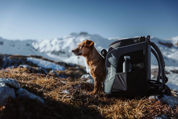 Actual product image Deuter Deuter-petcenter.ch Dog backpack (Dog, Breathable)