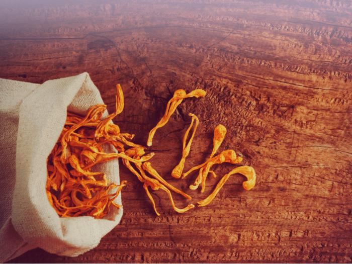 Produktbild Zimmerli Adaptogene Cordyceps Pulver (BIO) (1 Stück, Pulver, 100 g)