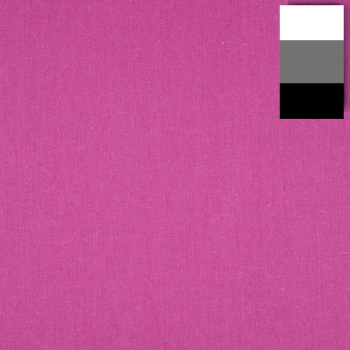 phlox pink