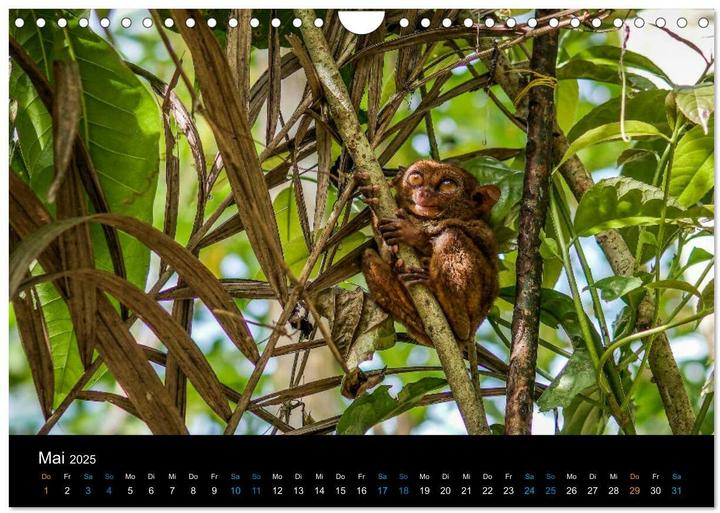 Produktbild Philippinen Foto Wandkalender 2025 (Wandkalender 2025 DIN A4 quer), Monatskalender (A4)