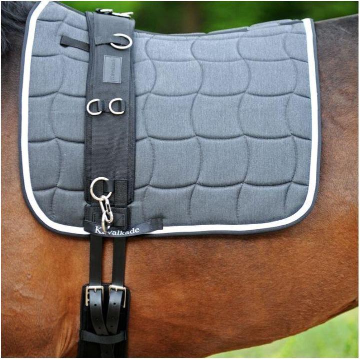 Image du produit Kavalkade Sangle de longe pour cheval avec rembourrage