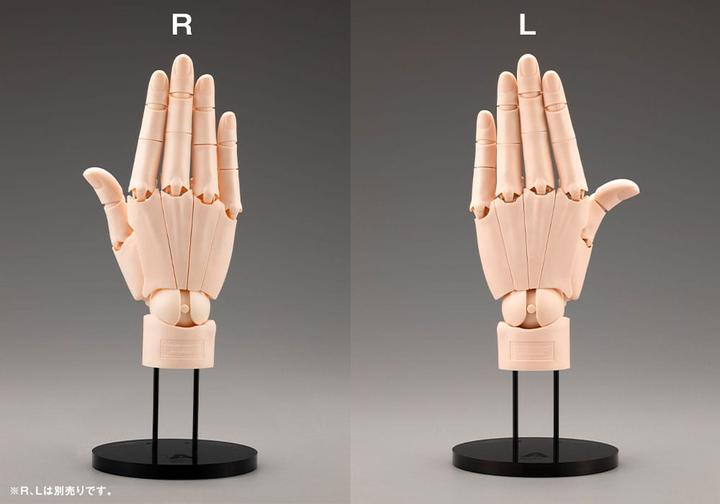 Image du produit Kotobukiya Takahiro Kagami PVC Artist Support Item Hand 1/1 Model/R Pale Orange 21 cm