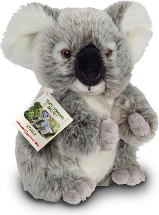 Produktbild Teddy Hermann Koalabär (21 cm)