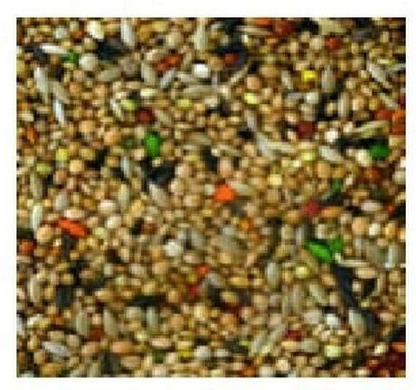 Image du produit Schweizer Mélange de qualité pour oiseaux exotiques (1 x, 1 kg)
