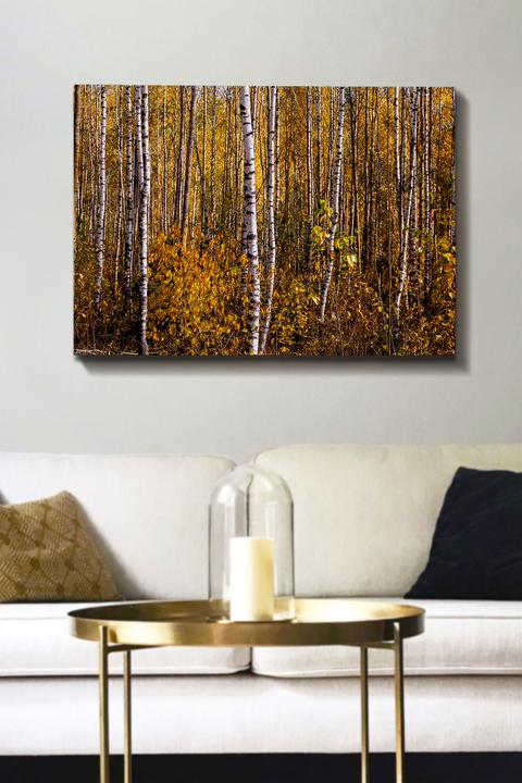 Produktbild Wallxpert Anais (70 x 100 cm)