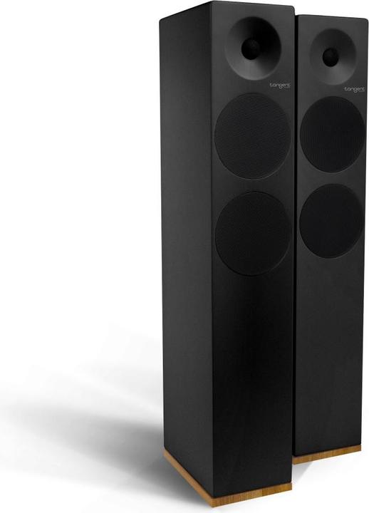 Actual product image Tangent Speaker Spectrum X6 Zwart (200 W)