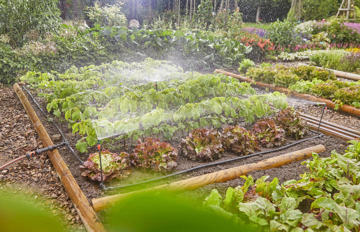 Produktbild Gardena Micro-Drip-System Set Gemüse-/Blumenbeet (Tropfbewässerung Set)
