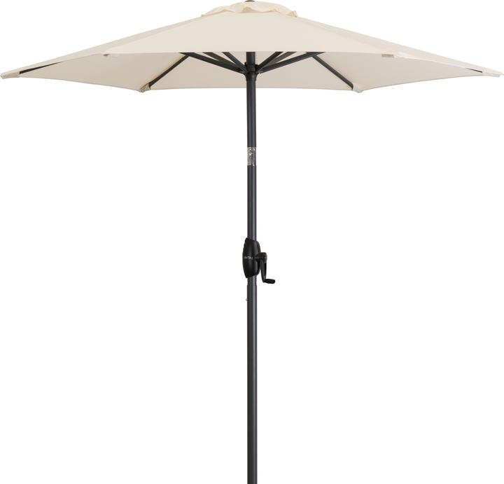 Derby Basic Lift Neo (1.80 m)
