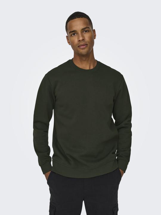 Produktbild Only & Sons Onsconnor Reg Crew Neck Sweat Noos (L)
