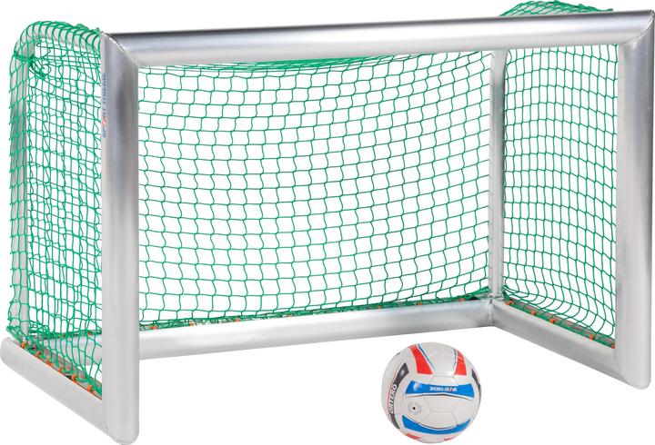 Sport-Thieme Mini-Trainingstor Professional