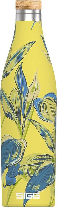 Produktbild Sigg Meridian Sumatra (0.50 l)