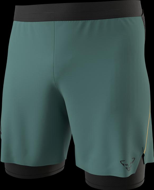 Immagine prodotto Dynafit ALPINE PRO 2/1 SHORTS, Herren (XL)