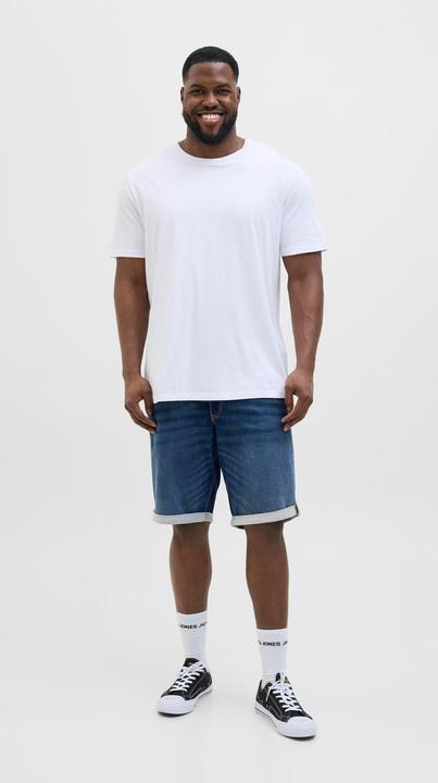 Image du produit Jack & Jones JJIRICK JJICON I.K. SHORTS GE 132 SN PLS (W44)
