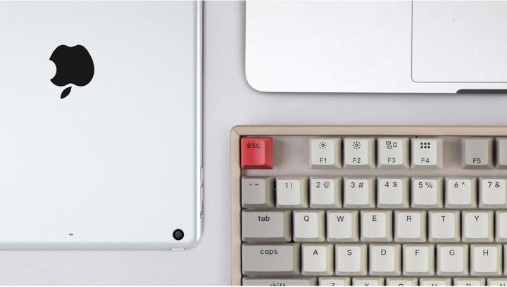 Image du produit Keychron K8 (US, Filaire, Sans fil)