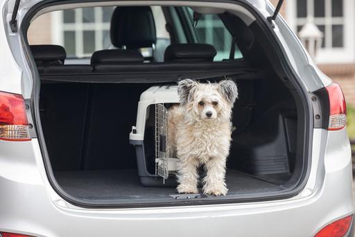 Produktbild Karlie Nomad (Hund, Katze, Abschliessbar)