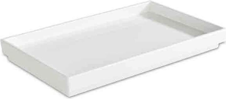 APS ASIA PLUS" tray