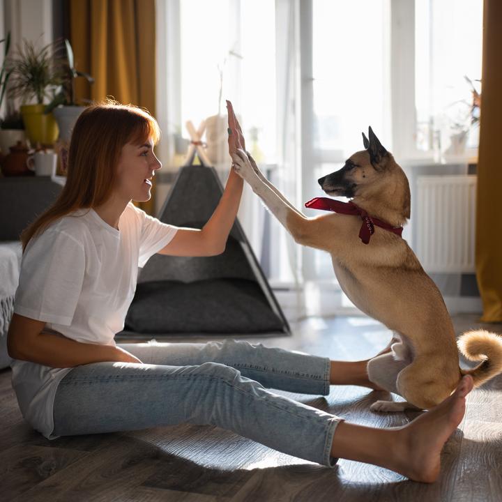 Produktbild Relaxdays Hundezelt (Hundezelt)