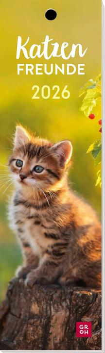 Lesezeichenkalender 2026: Katzenfreunde (Hardcover, German)