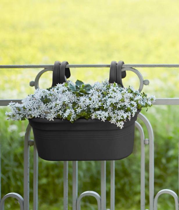 Actual product image Elho Easy Hanger Green Basics (26.30 cm)