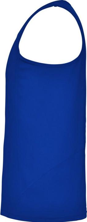 Actual product image Alpinia Mens Andre Sports Vest Top (L)