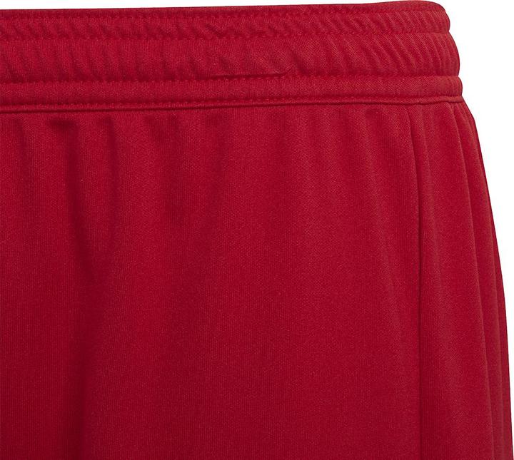 Actual product image adidas Entrada 22 Shorts (164)