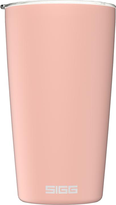 Rose timide