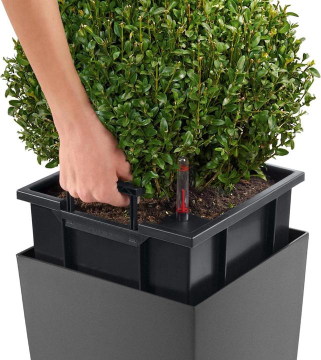 Actual product image Lechuza Cubico 30 (29.50 cm)