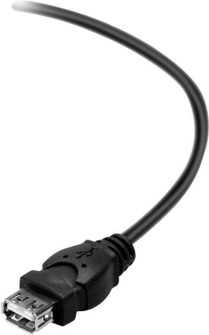 Image du produit Belkin Câble d'extension USB (1.80 m, USB 2.0)
