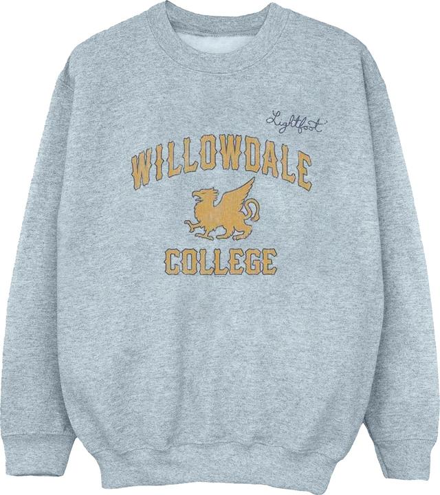 Image du produit Disney - Sweat ONWARD WILLOWDALE COLLEGE - Homme (L)